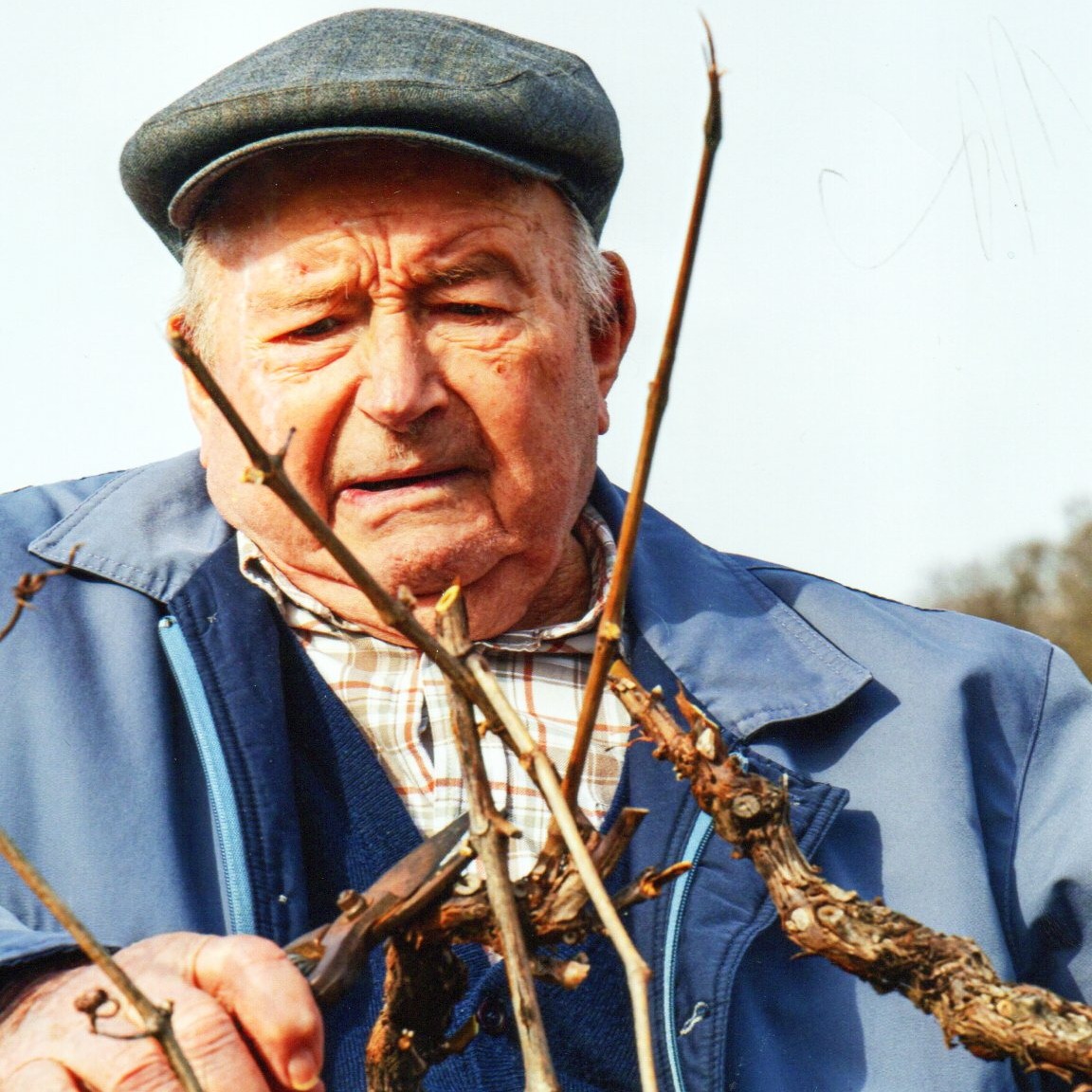 Photo de Monsieur Pierre CHASSAGNE